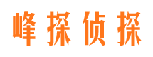 湘潭私家侦探公司